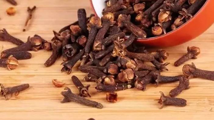 Bu yöntemlerle evde karınca istilasına son! 4